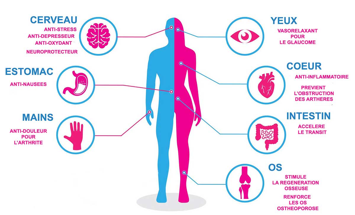 CBD Naturalpes effect