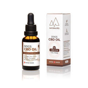 CBD Oil for Dogs 5