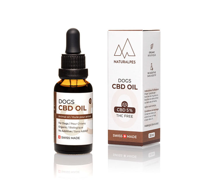 CBD Oil for Dogs 5