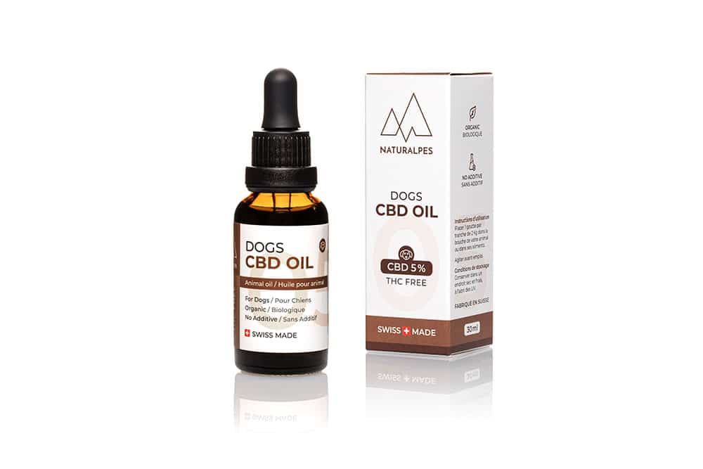 CBD Oil for Dogs 5