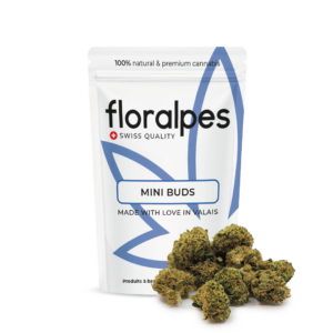 CANNABIS CBD MINI BUDS
