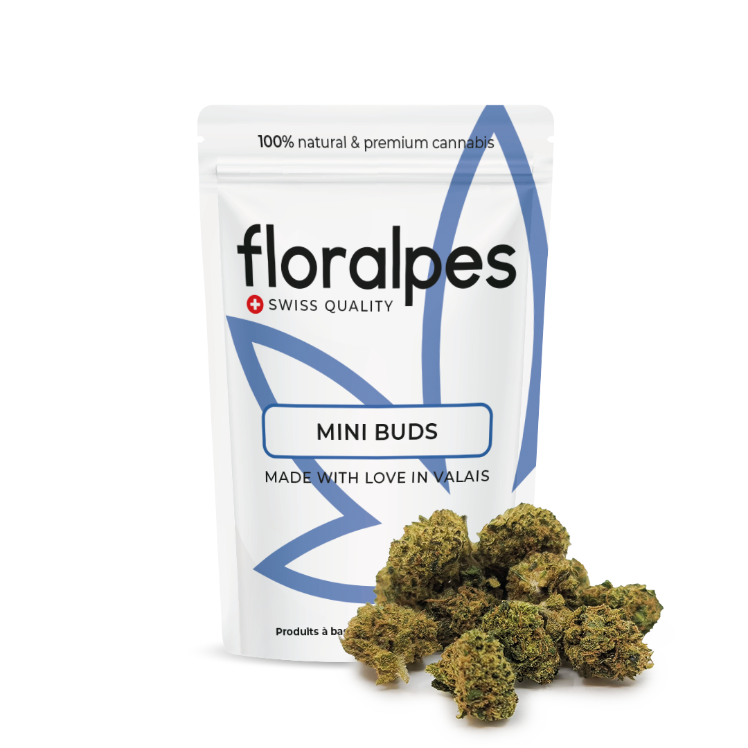 CANNABIS CBD MINI BUDS